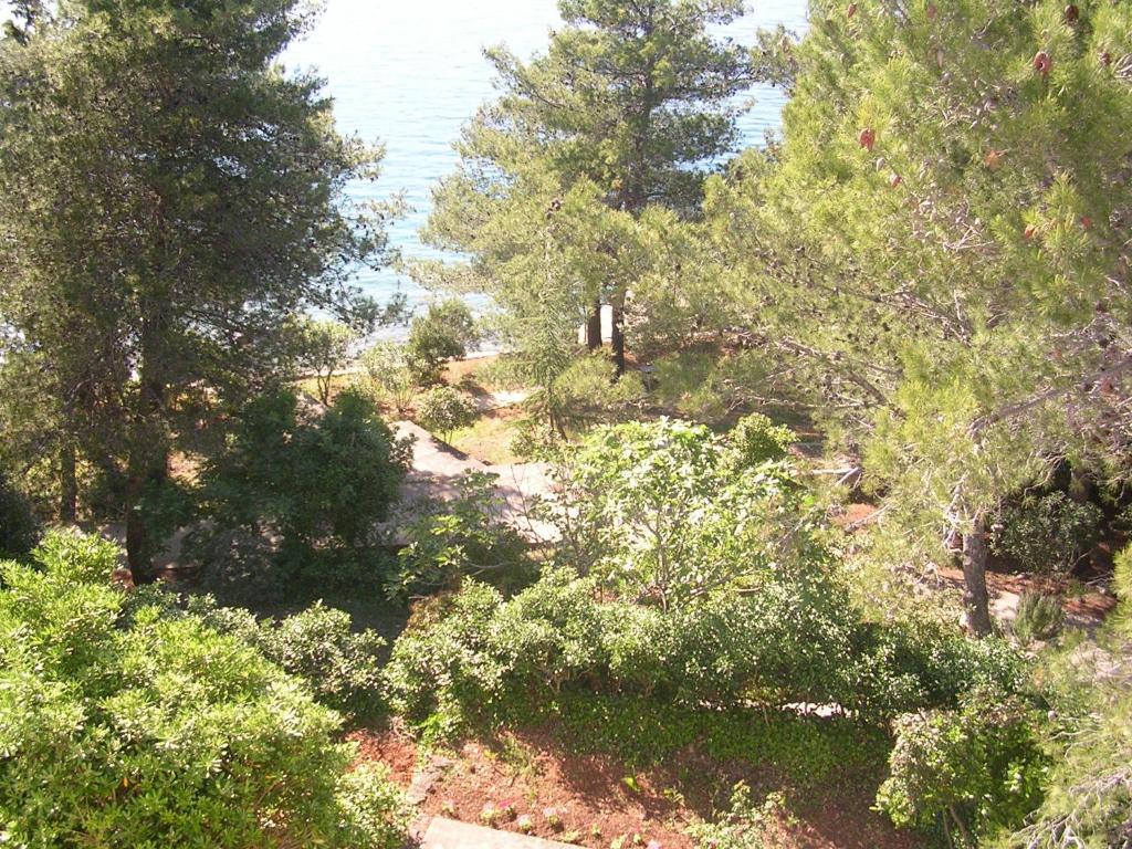 Hotel Luka Luka  المظهر الخارجي الصورة